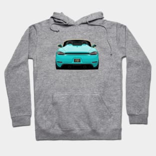 Mint Spyder Hoodie